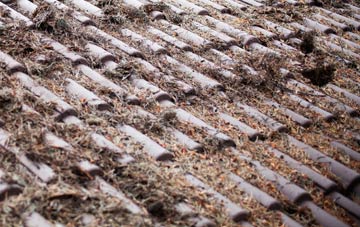 South Bents roof cleaning companies